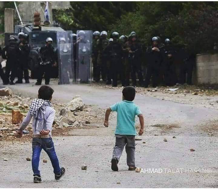 ᴄʜᴀʀʟɪᴇ ᴄʜᴀᴘʟɪɴ ® tweet media