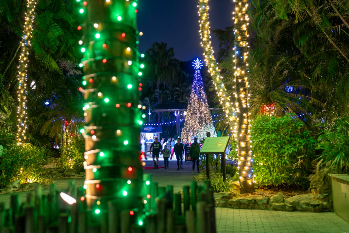 PalmBeachZoo's tweet photo. Zoo Lights are one sale now!
We know that Zoo Lights isn't just an event, it's the moment that kicks off your holiday season. Get your tickets today - https://t.co/JWpVDRQlIb
#holidaylights #florida #southflorida #lovefl #thepalmbeaches #palmbeachzoo #zoolights https://t.co/6nLdIRTtQc