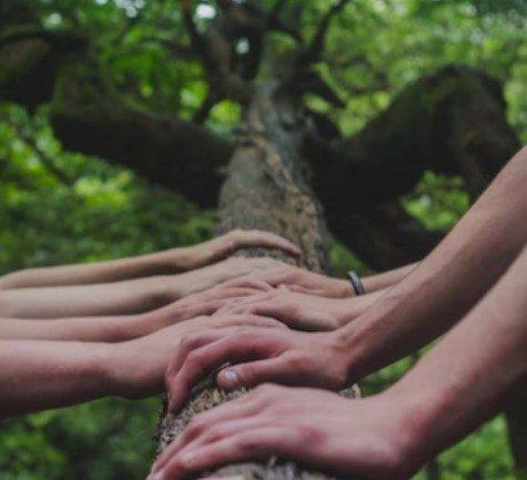 resisfertile's tweet image. You can’t change 60% + inflation for houses… but you can keep your kids (yes, even often when first married) and make housing more affordable for them.

You can&apos;t know for sure if X narrative about Y national event is true - even after reviewing hundreds of hours of videos and…