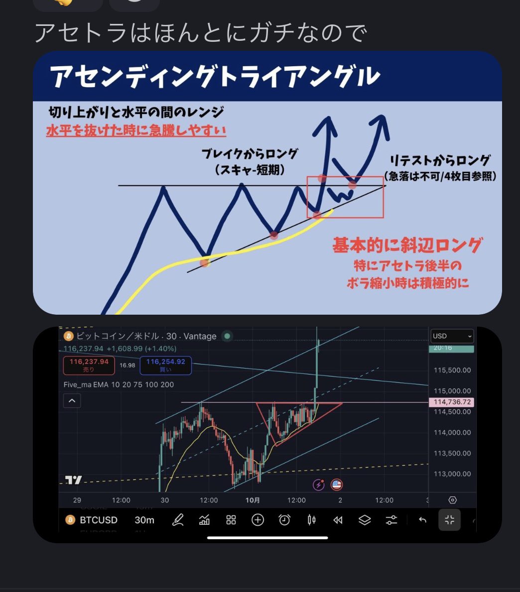僕がSNSやり始めてからもう4年以上言い続けてることまた久々に言いますね。

アセトラ、ディセトラはガチで強い。SNSに散らばってる手法の大半はコイツの足元にも及ばないと思ってる。