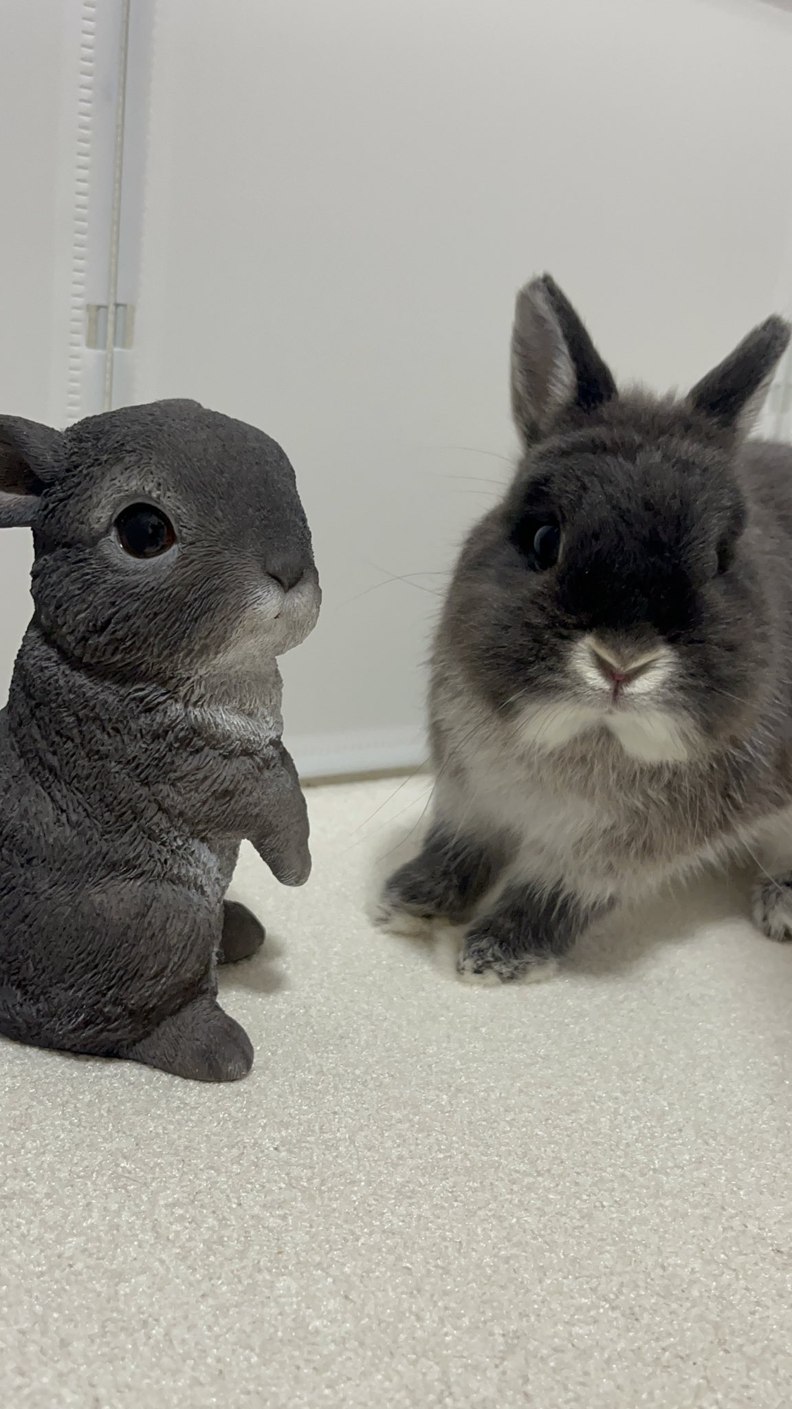 ナンシーロペスの置物　ウサギ sen/動物のオブジェ rabbit（ウサギ） -シュールな表情でこちら