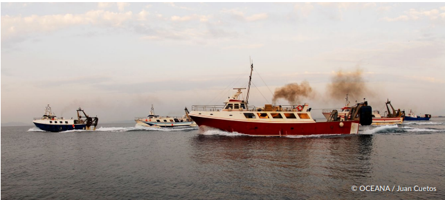 (1) Hoy publicamos un informe que nos ha costado mucho esfuerzo y conversaciones con el sector pesquero. El resultado es preocupante:

👉 El 94% de las embarcaciones pesqueras analizadas en el Mediterráneo español tienen motores que superan la potencia certificada oficialmente.