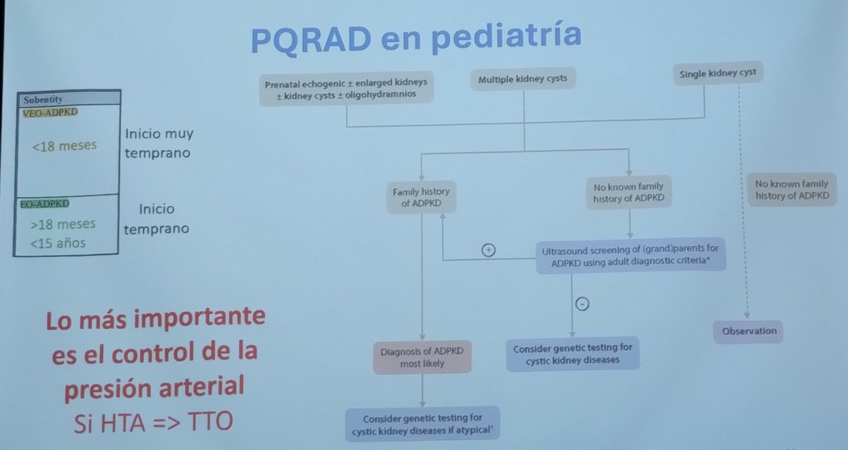 Romina Escalante (@romisoleecc) on Twitter photo Jornadas RenHerCat 2025 - Sociedad Catalana de Nefrología
Poliquistosi renal autosòmica dominant per a principiants - Dra. Mónica Furlano <a href="/m_furlano/">Mónica Furlano</a> <a href="/SJDNefrologia/">SJDNefrologia</a> <a href="/nefrocat/">Societat Catalana de Nefrologia</a> <a href="/SENefrologia/">S.E.N. Nefrología</a> <a href="/ESPNSociety/">ESPN</a> <a href="/IPNA_PedNeph/">IPNA Ped Nephrology</a> <a href="/Alanepe1/">Alanepe</a> Jornadas RenHerCat 2025 - Sociedad Catalana de Nefrología
Poliquistosi renal autosòmica dominant per a principiants - Dra. Mónica Furlano <a href="/m_furlano/">Mónica Furlano</a> <a href="/SJDNefrologia/">SJDNefrologia</a> <a href="/nefrocat/">Societat Catalana de Nefrologia</a> <a href="/SENefrologia/">S.E.N. Nefrología</a> <a href="/ESPNSociety/">ESPN</a> <a href="/IPNA_PedNeph/">IPNA Ped Nephrology</a> <a href="/Alanepe1/">Alanepe</a>