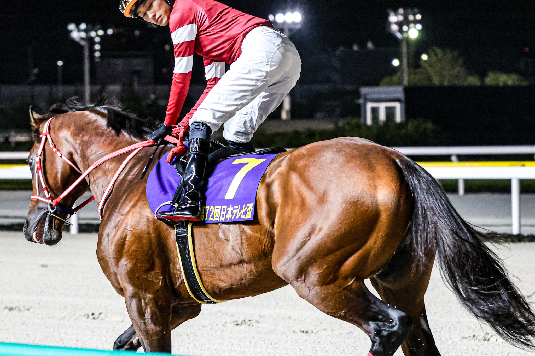 The Real MACKAY ＂スパーズ史上最高の選手デイブ・マッカイ自伝 The