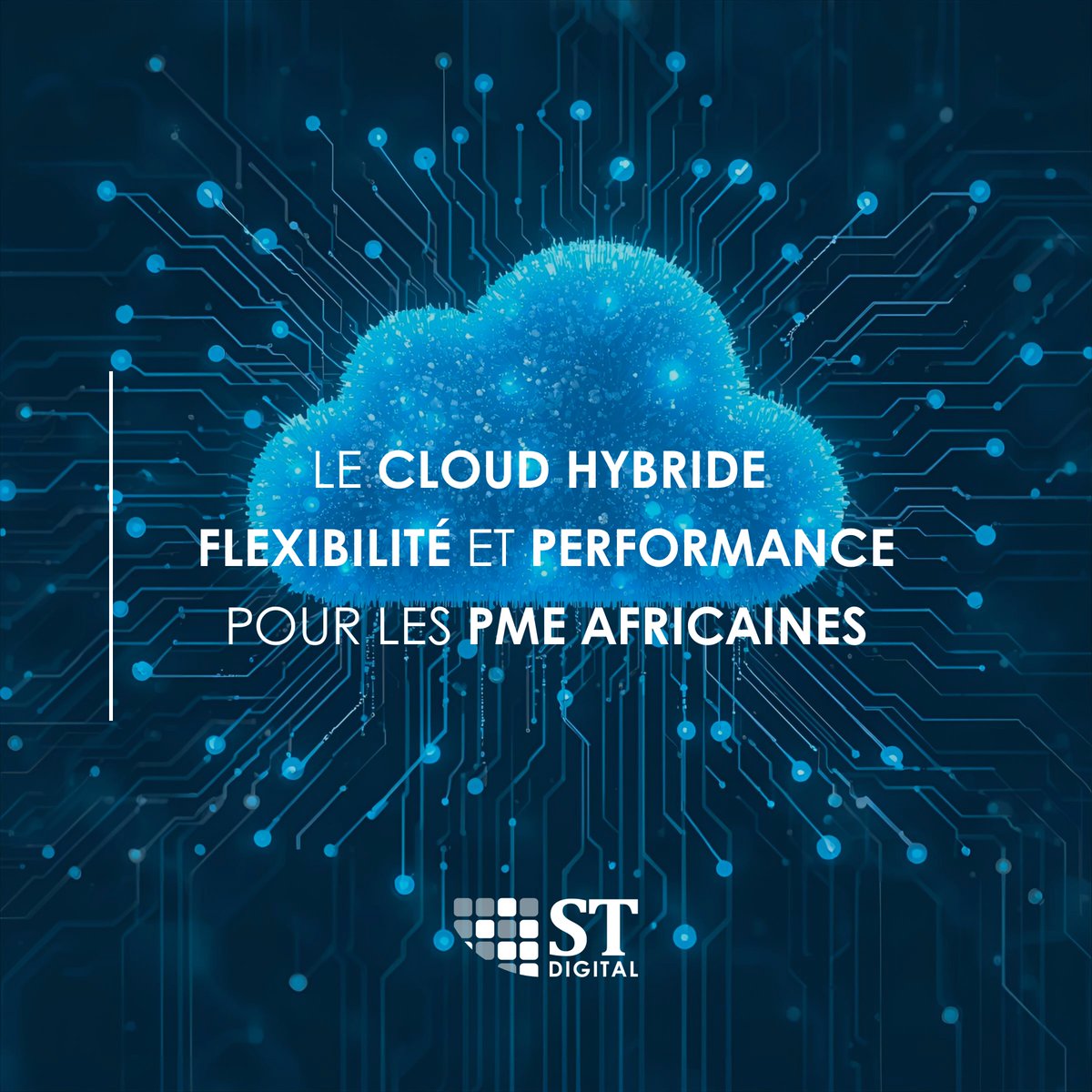 STDIGITAL_corp's tweet image. Le Cloud hybride = agilité + sécurité. La solution IT qui booste performance & économies pour les PME africaines ! ☁️💡
📧 info@st.digital - st.digital
#STDIGITAL #CloudInfrastructure #PME numérique