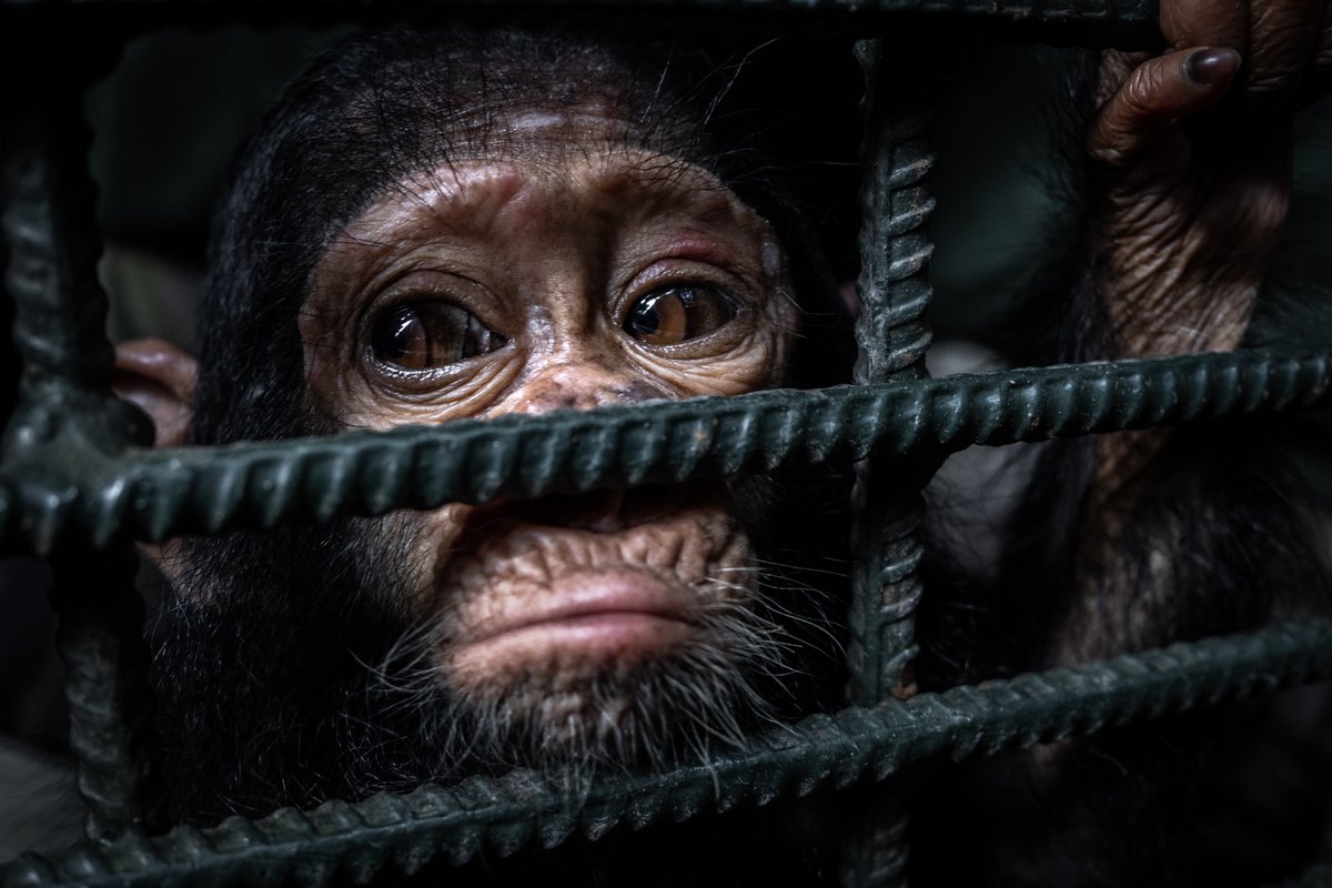 📸 <a href="/montphoto/">MontPhoto</a> arriba aquest cap de setmana amb la mateixa il·lusió de cada any.

De divendres a diumenge hi haurà ponències, passejades fotogràfiques, exposicions i la gala d’entrega de premis.

📲 Llegeix més aquí: novaradiolloret.org/montphoto-arri…