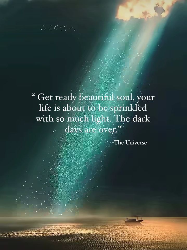 The universe
