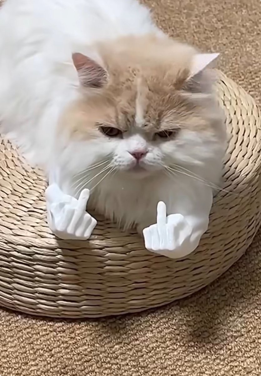 Well look who woke up on the wrong side of the bed.