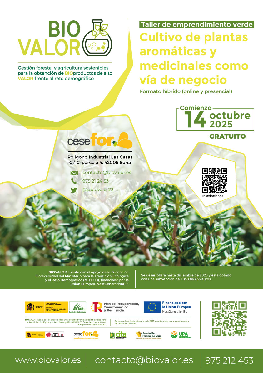 CITA Aragón tweet media