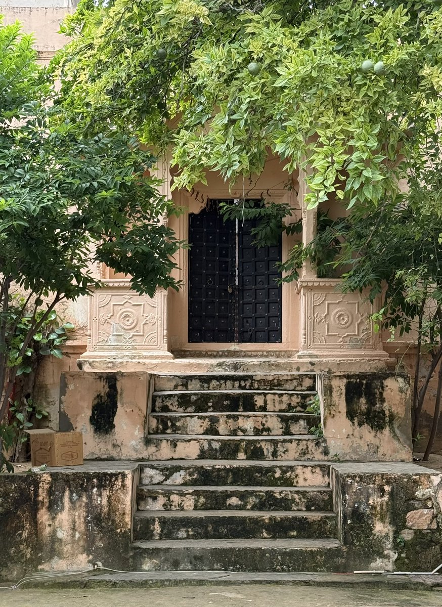 HorizonJude's tweet image. Some #woodenwednesday #portals from Pushkar in Rajasthan today. Each beautiful in their own way @DoorsNo3828