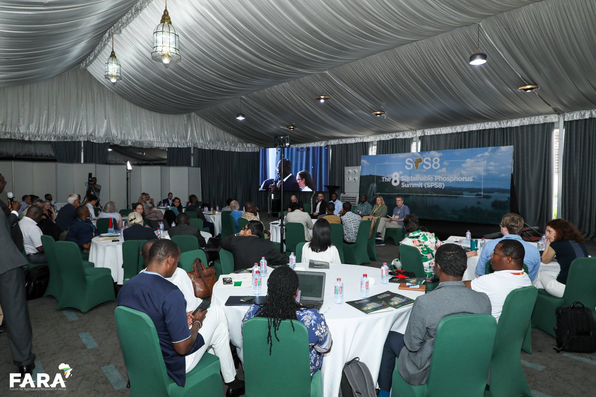 FARAinfo's tweet image. #HappeningThisWeek: #SPS8Africa Day 2, Accra, Ghana

For today, participants are holding Highlight &amp;amp; Lighting Panel sessions on Phosphorus management &amp;amp; sustainability for food system transformation &amp;amp; soil health, as well as Working Group Side Events.

#SPS8 #AgricultureResearch
