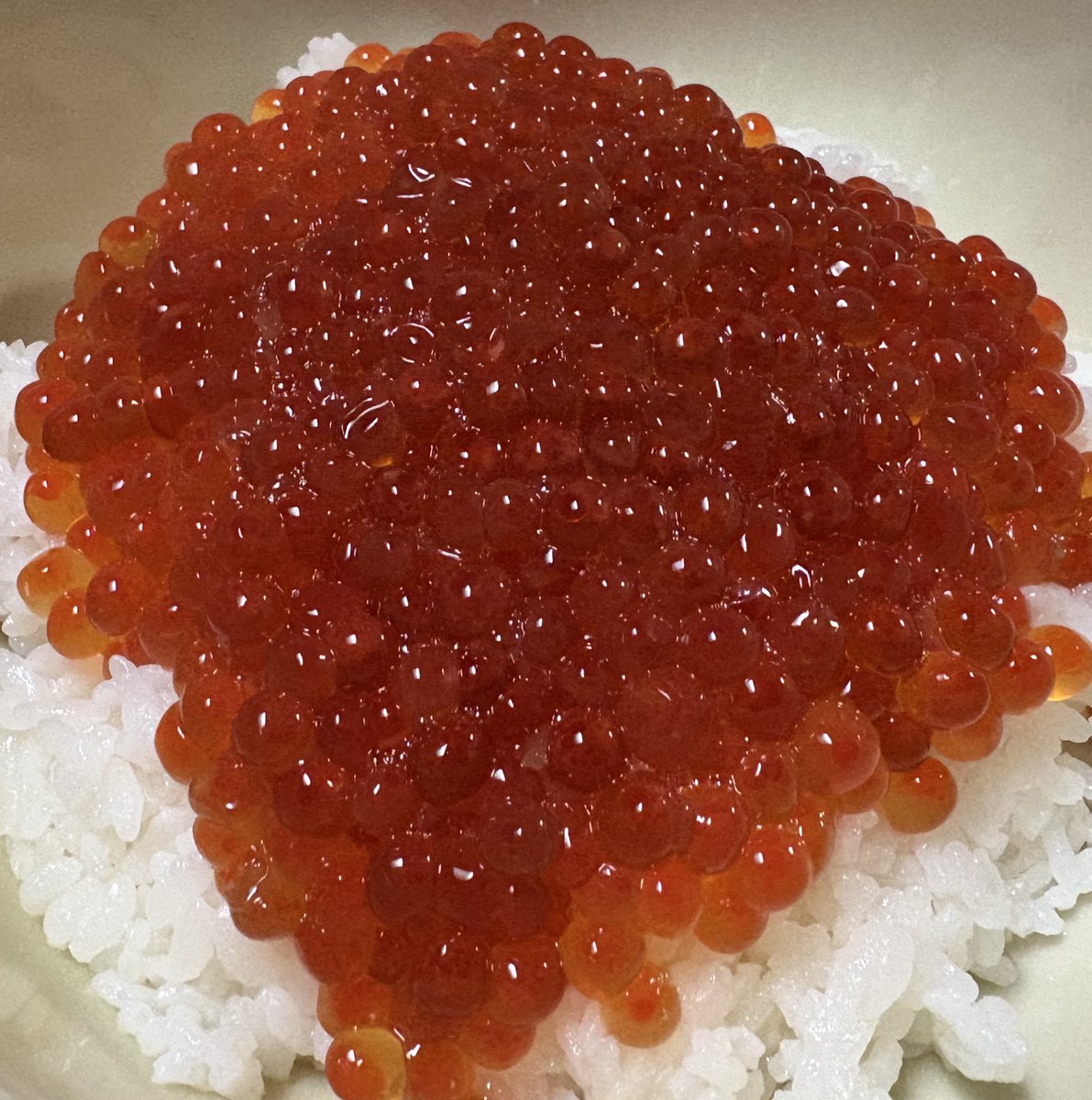 StormTheKin29's tweet photo. 今年も友人からイクラを頂いたので今日はイクラ丼です。
#ウルティマオンライン飯テロ部 https://t.co/e02uztkFFf