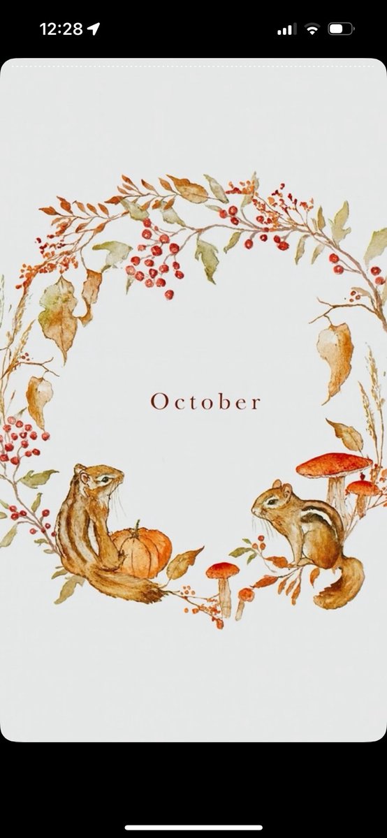 🌺May Alenazi (@maaysaleh) on Twitter photo 