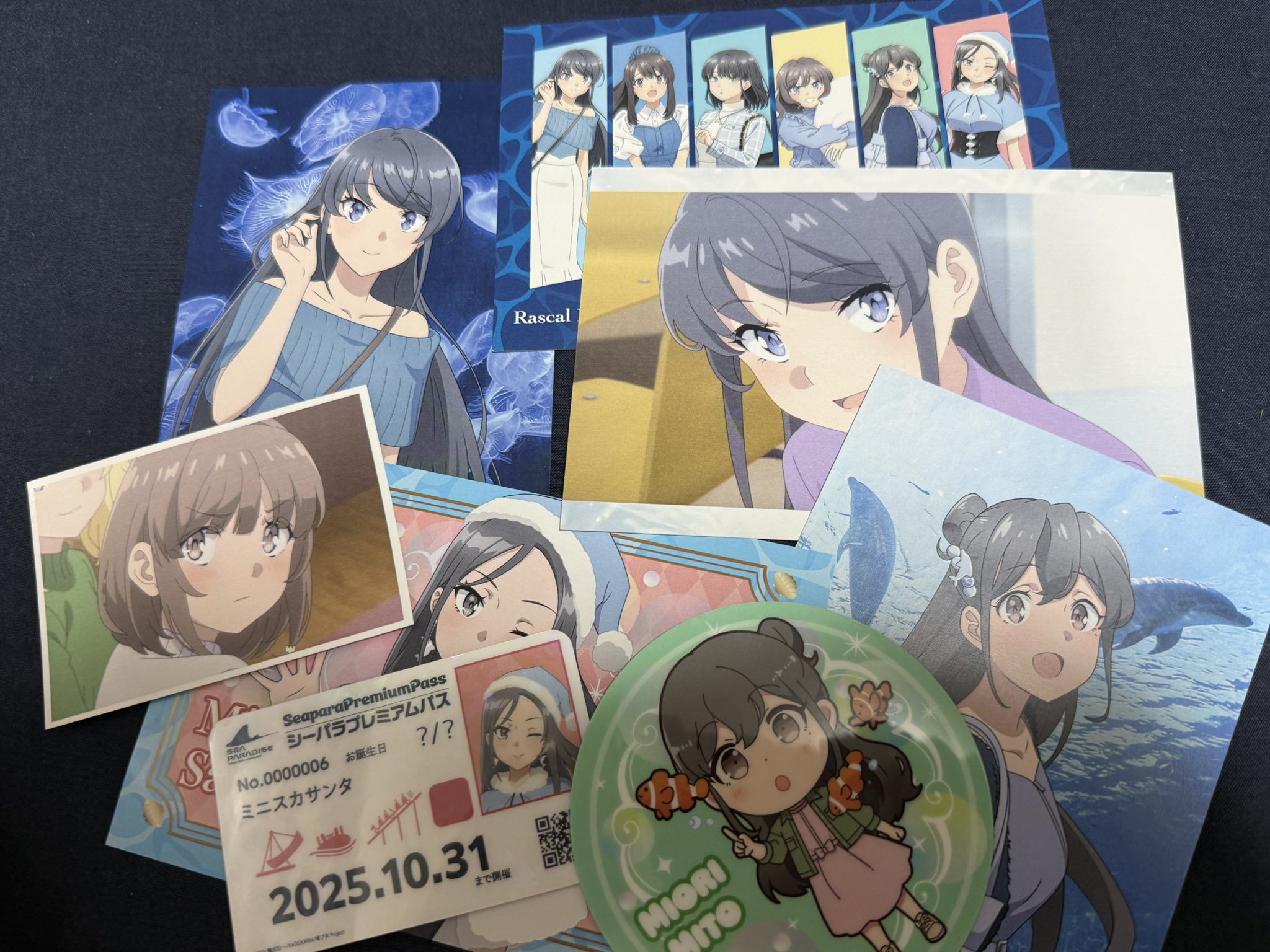 青ブタ 八景島シーパラダイス プレミアムパス風カード 美東美織 青ブタ