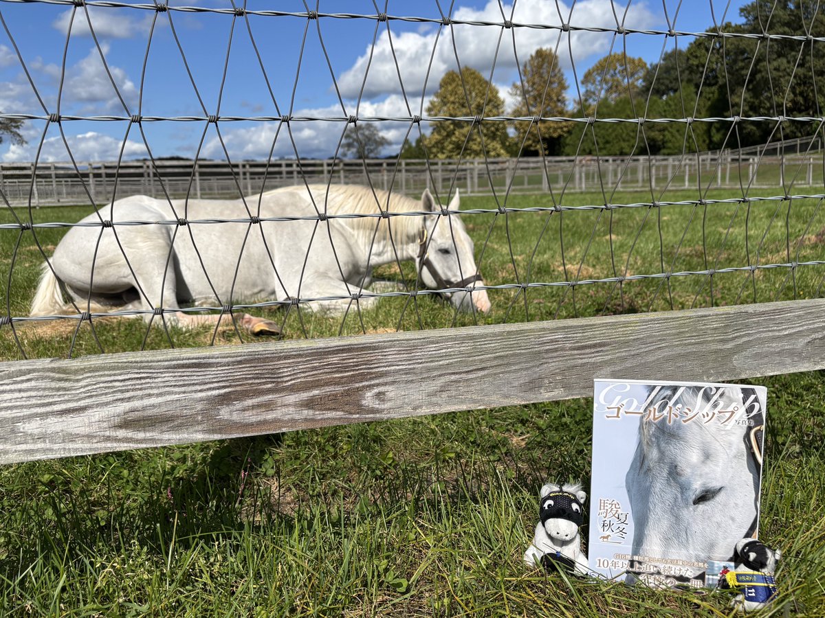 ゴールドシップ写真集