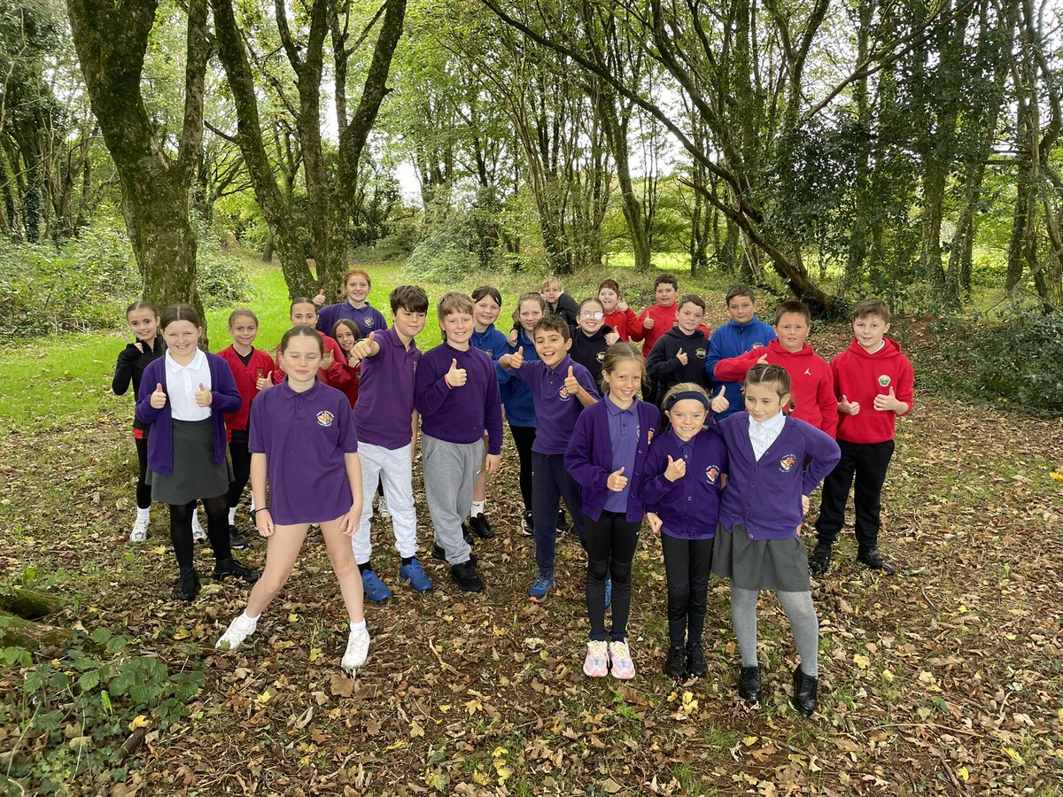 Trosglwyddo Llanhari tweet media