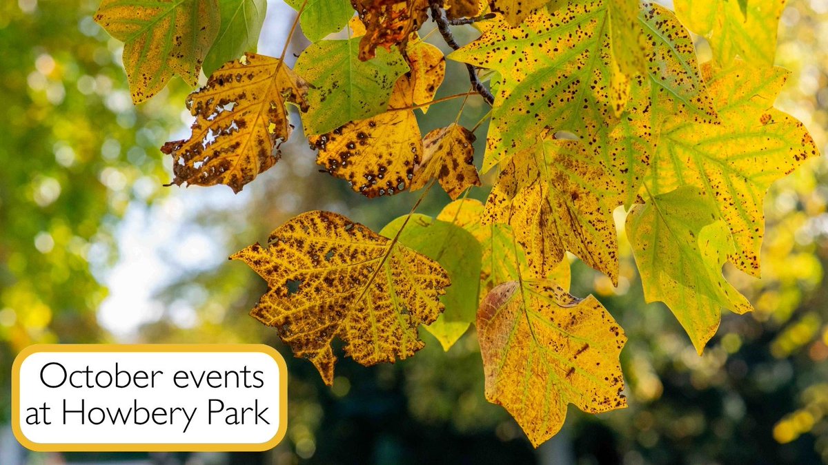 Howbery Business Prk tweet media