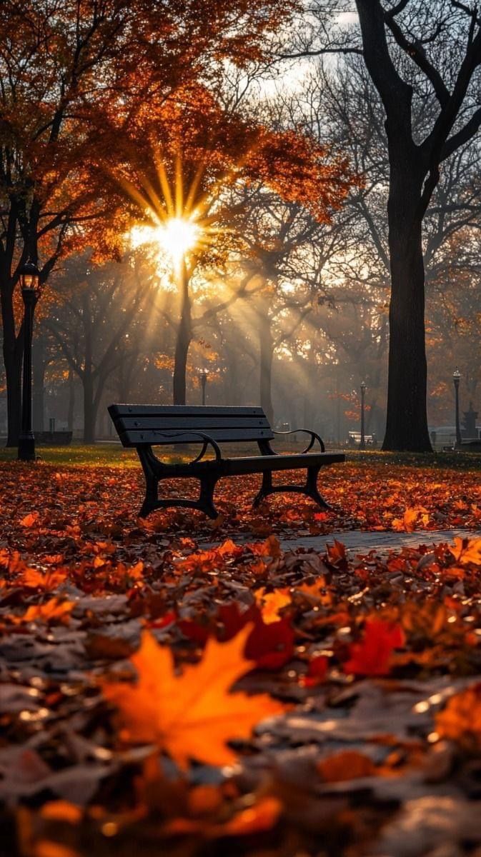 Dear October,🌟
   
     Chapter 10 of 12 
begins—let’s write it well. 🖋️

Be kind. Be bold. Bring cozy days, fresh starts and wonderful surprises.🍂✨

New month. New magic. New moments.🌙

#OctoberWish #October1st #HappyNewMonth #newmonthnewvibes