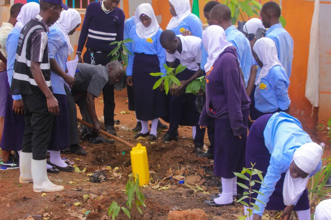 Ecological Party of Uganda (EPU) tweet media