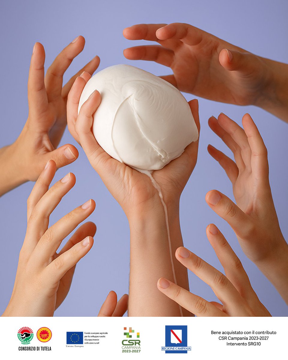 Una sola Bufala DOP. Tanti pretendenti.
Ma si sa… l’amore vero è difficile da condividere. 💔

#mozzarelladop #dop #mozzarelladibufalacampana #bufalacampana