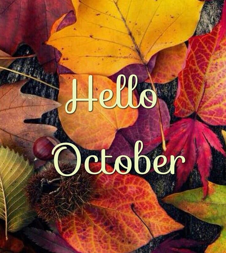 Good morning.
Happy October.
My birth month. This year my bday falls on Thanksgiving day. 
Looking forward to a happier &amp;
less stressful month.
Have a great day everyone. ☕️