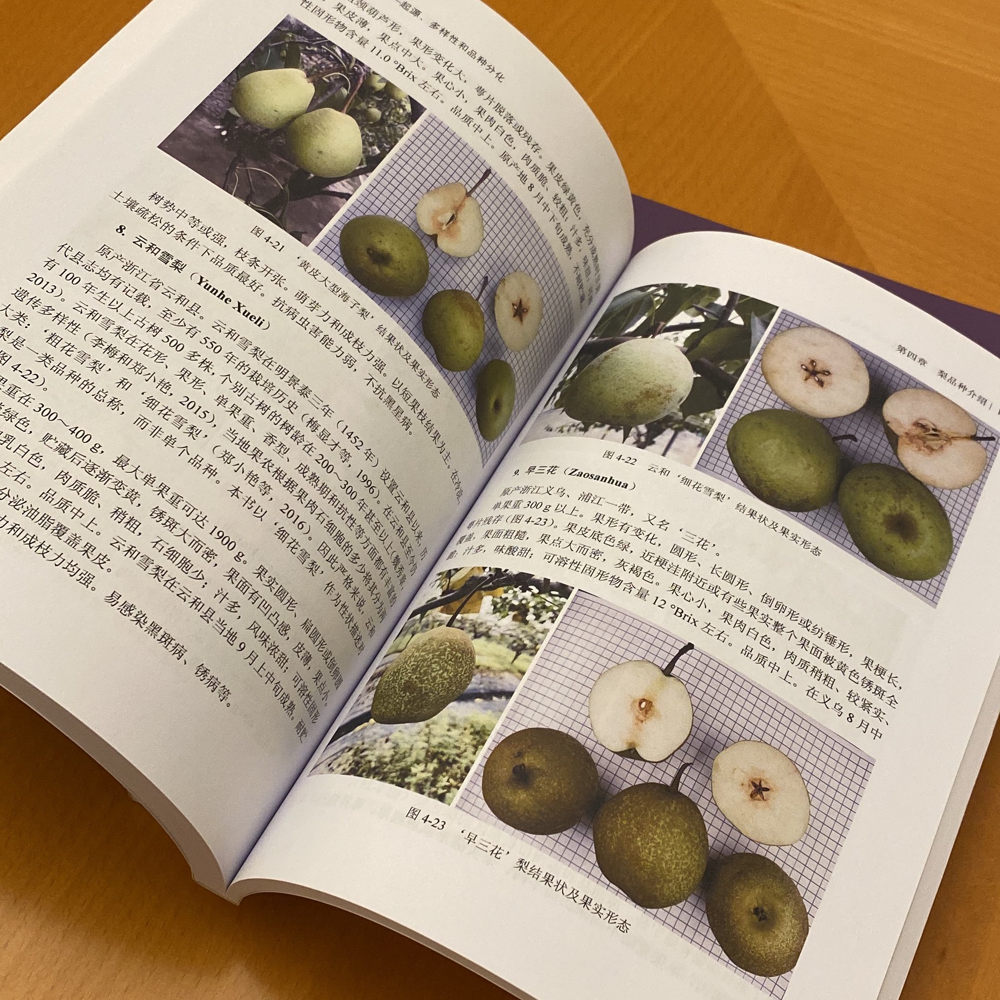 みかん☆さま確認ページ♡ hachiya-fruits_setk030