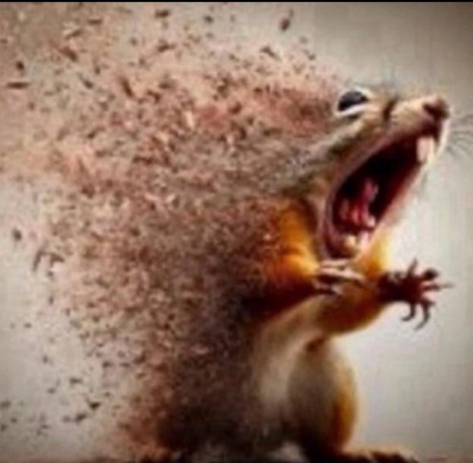 when you see a coin you sold 3 weeks ago gets caballed straight to 5m