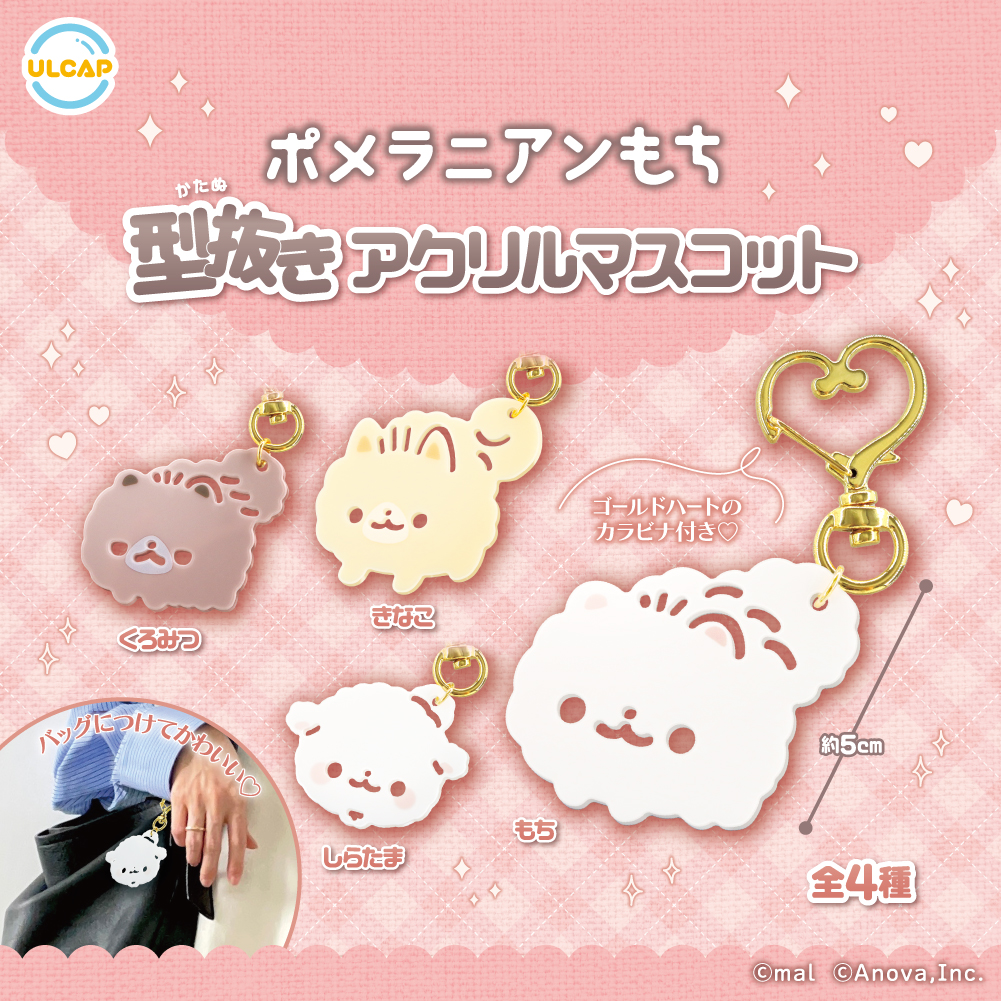 ポメラニアンもち (@PomeranianMochi) / Posts / X