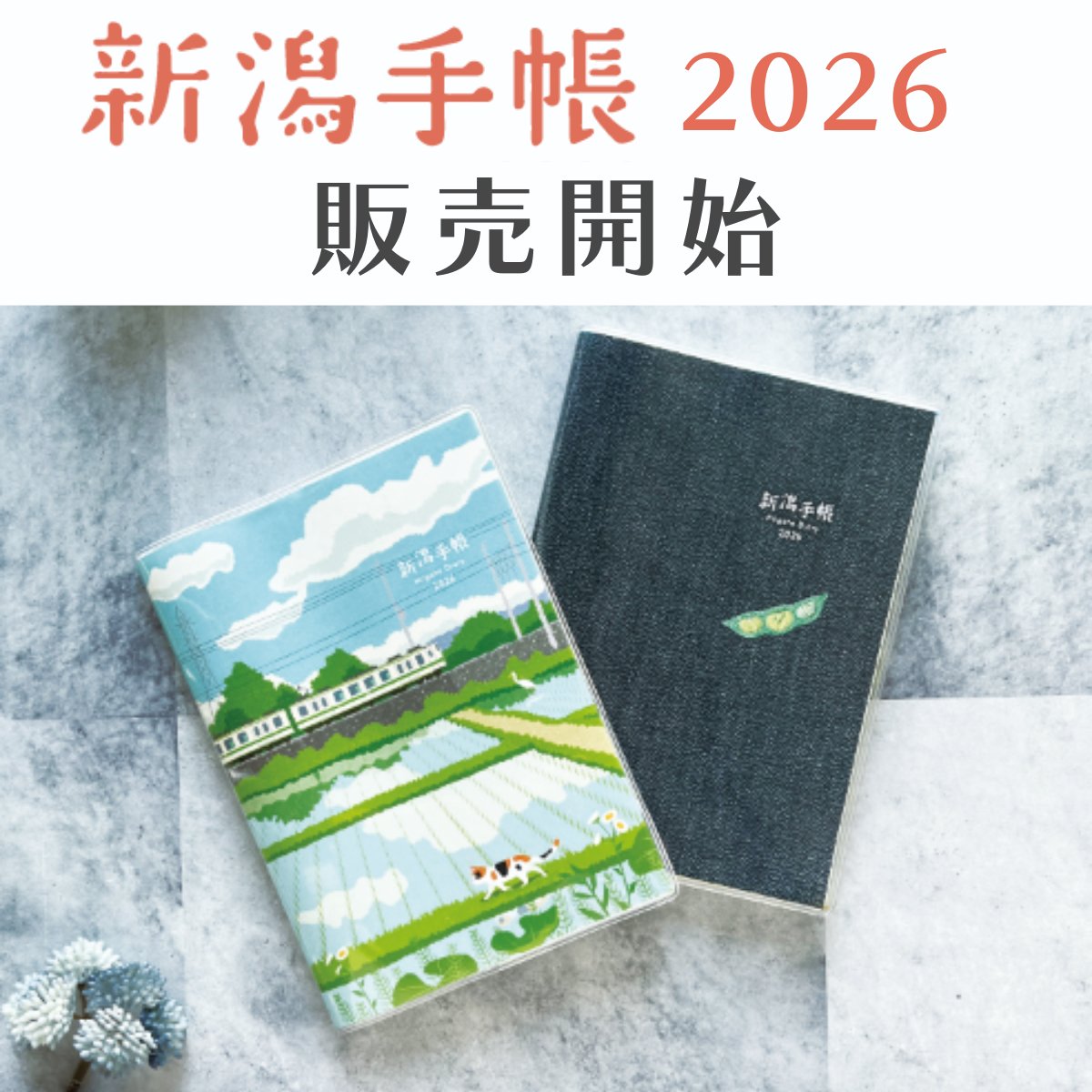 Dissue_dip's tweet photo. 📢＼#新潟手帳2026　本日より販売開始！／

新潟手帳2026が本日10/1(水)より県内各書店などで販売されています！

県内のイベント情報やお出かけ情報などが盛りだくさん✨
新潟手帳で新潟愛を携帯してみませんか？

▼詳しくはこちら
https://t.co/eHcZyrPUSA https://t.co/fEnIlP2vie