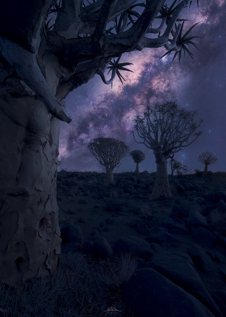 HugoVP55's tweet image. Namibia 🇳🇦