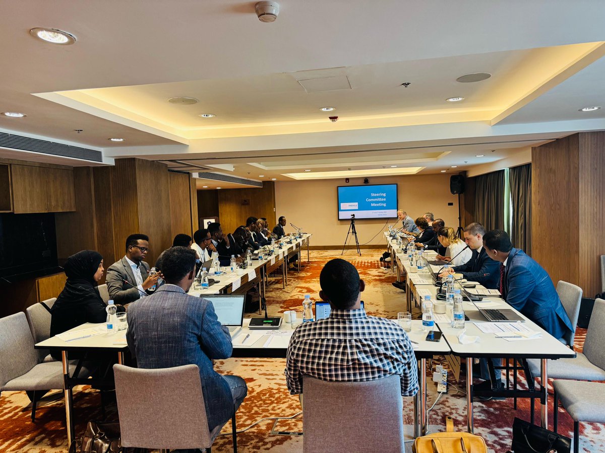 PREMIS_2's tweet photo. Saleiman Sh. Omar, Director General of the FGS Ministry of Finance, opened the #PREMIS2 Steering Committee Meeting in #Nairobi. Day 1 discussions will centre on Q3 delivery updates, progress against the workplan, &amp; lessons from infrastructure developments (CDEL outputs).
#Somalia https://t.co/o76bCD37Gc
