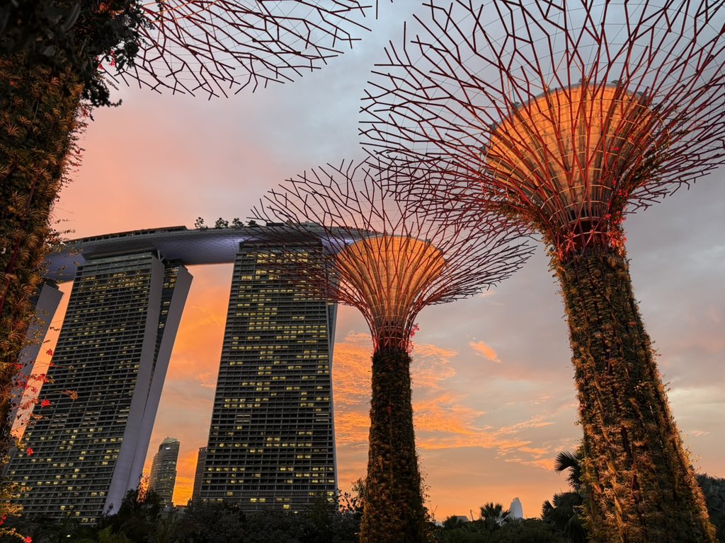 v__duncan's tweet image. Gm to everyone 🇸🇬

Let’s network and enjoyyyy! 🥂
