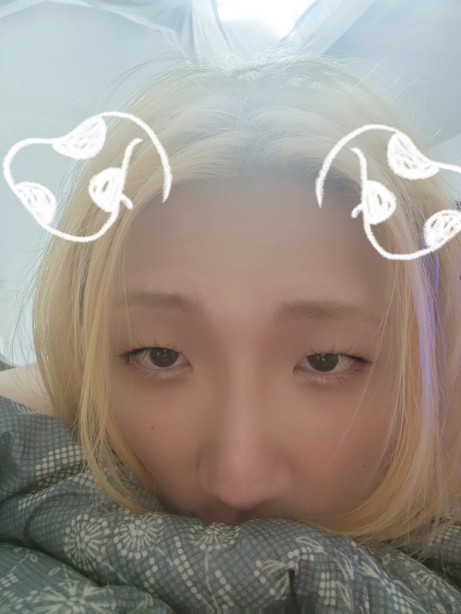 johnsenbil's tweet photo. 누군가 눈을 떴을때 이렇게 기다리고파...
(회사가기 싫다....)
#로망트 #트젠 #CD #crossdresser #bisexual #polyamor #nonbinary #pansexual #범성애 https://t.co/CENiP4Wp3u