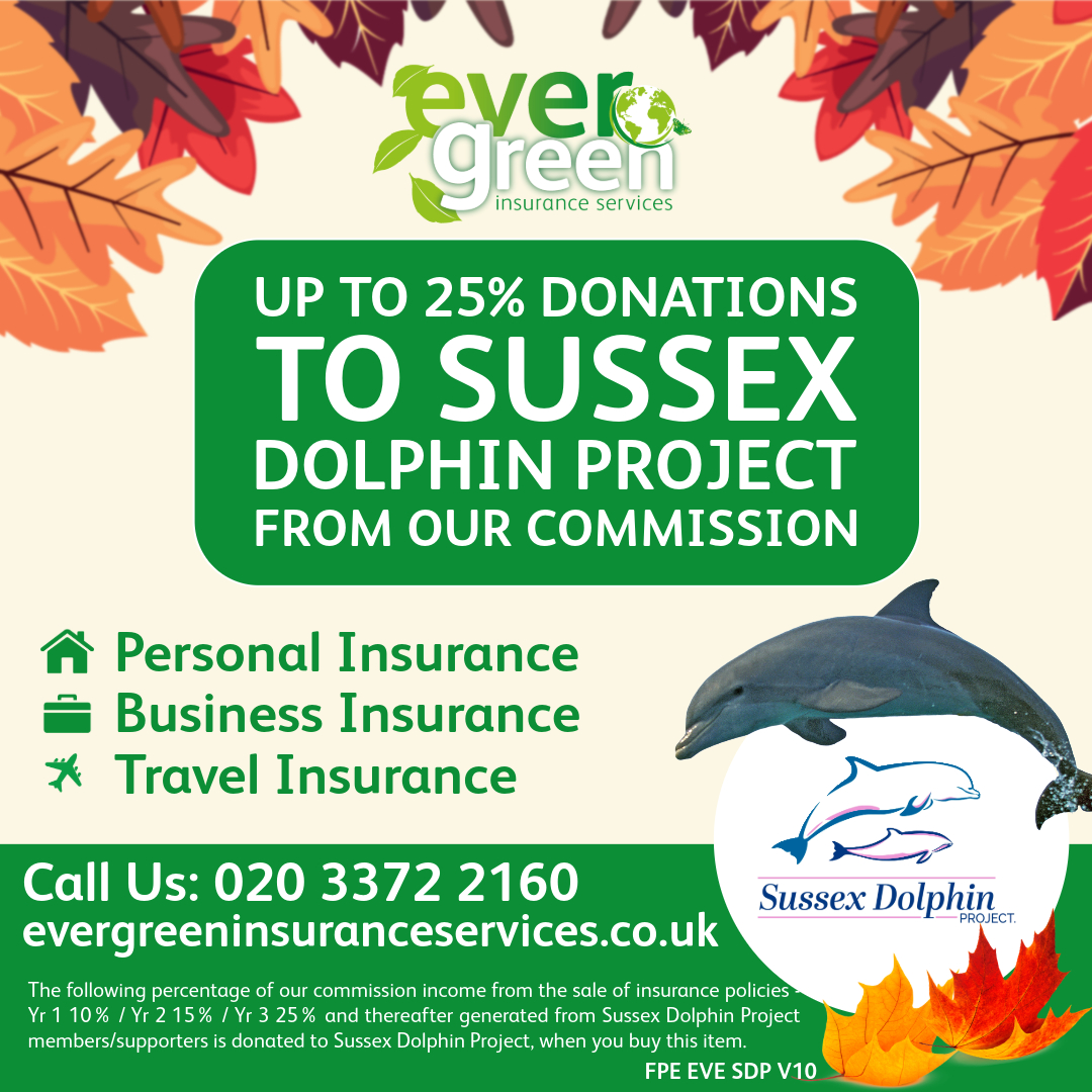 Golden leaves, crisp seas, and a shared mission to protect our dolphins. Autumn's perfect for change! 🌊🍁 <a href="/SussexDolphin/">Sussex Dolphin Project 🐬</a> #SussexDolphinProject #EvergreenInsurance #ProtectNature
