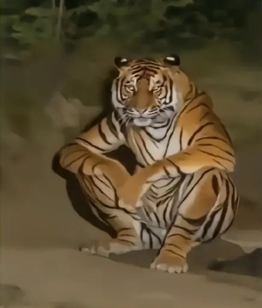 geekinforfun's tweet image. sage needa GOOO HOLY FUCK