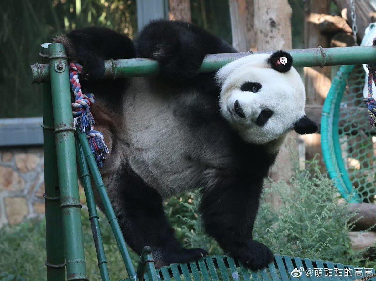 <a href="/by_toahuu2012/">ในจักรวาลอันไกลโพ้น</a> 🐼😎