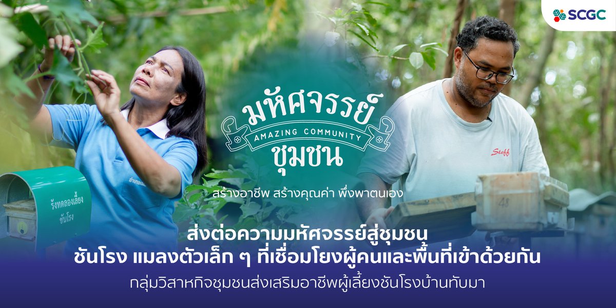 จากงานอดิเรกของผู้สูงวัย สู่กิจกรรมที่ส่งต่อคุณค่าให้คนทุกวัย ทุกพื้นที่ ด้วยการเลี้ยงชันโรง

แมลงเศรษฐกิจที่มากด้วยประโยชน์ เป็นแมลงขนาดเล็ก ไม่มีเหล็กใน หาอาหารจากพืชดอกทั่วไป หากเป็นพื้นที่ที่มีความอุดมสมบูรณ์ก็จะพบเหล่าชันโรงนี้ได้ไม่ยาก

รับชมที่ youtu.be/LhNI6eUv3KQ?si…