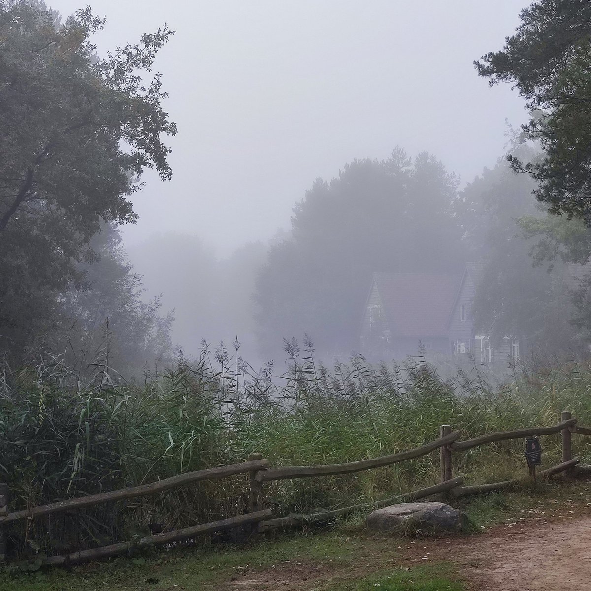 Guys I think I ended up in Silent hill...