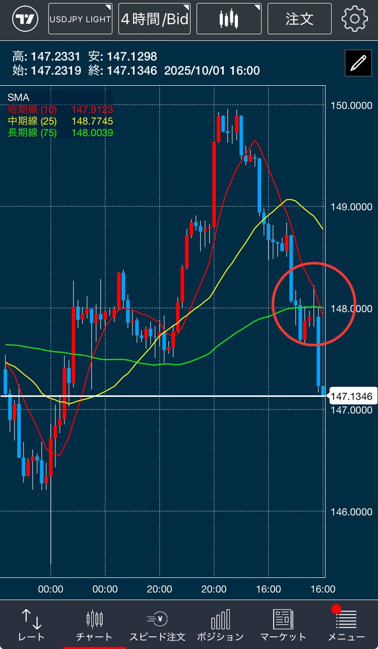 まとめ売り イミテーション パール 複数 楽天市場】システム手帳リフィル 2026年 月間ダイアリー5
