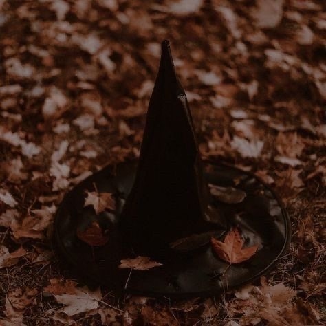 NostAcademia's tweet photo. Welcome, October 1st 🖤  Autumn https://t.co/NXSNuM33Cz