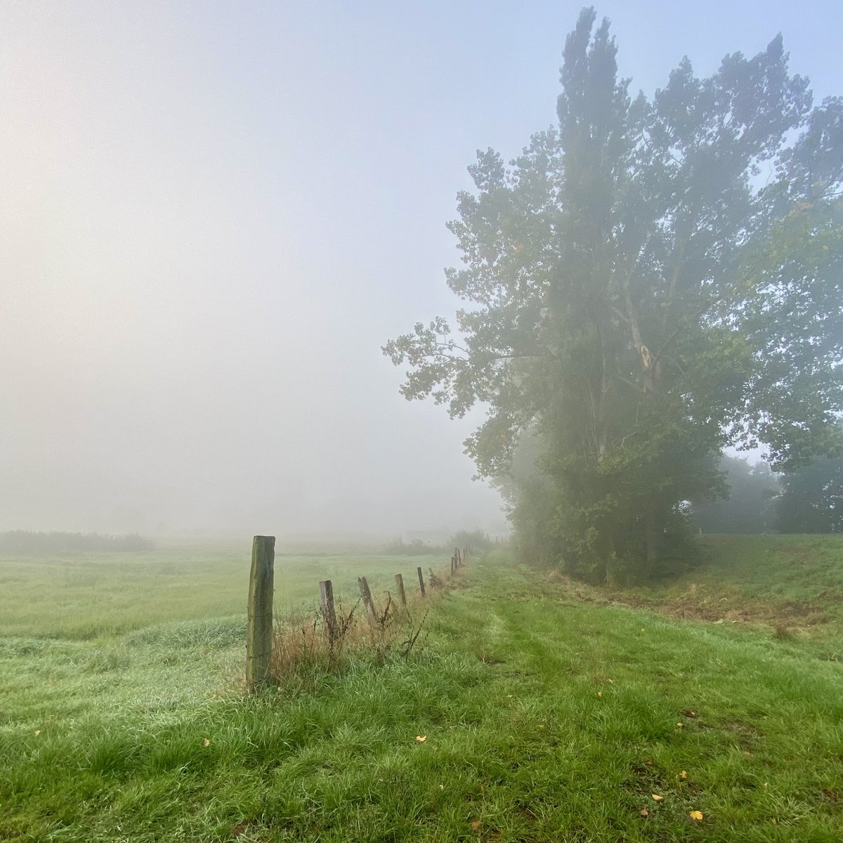 #vrtweer <a href="/Weerbord/">Weerbord☀️☔️</a> <a href="/MeteovistaBe/">meteovista.be</a> <a href="/HetweerinBelgie/">Meteo Reni - Het weer in België</a> <a href="/BuienradarBE/">BuienradarBE</a> <a href="/avstelevisie/">AVS Oost-Vlaamse Televisie</a> <a href="/HendrikRemue/">hendrik.remue@gmail.com</a> 
Heusden, 01/10, 08.28,
