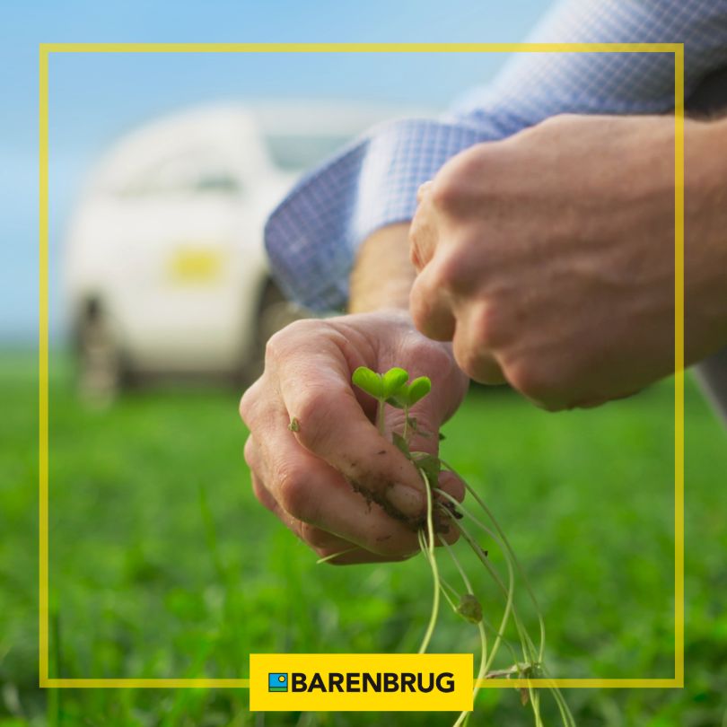 Tassie, we’re hiring a Seed Production Agronomist! 🌱
Are you ready to build strong partnerships with growers while providing expert agronomic advice to unlock the full potential of their crops? If this sounds like you, click on the link...

buff.ly/hozF0YY