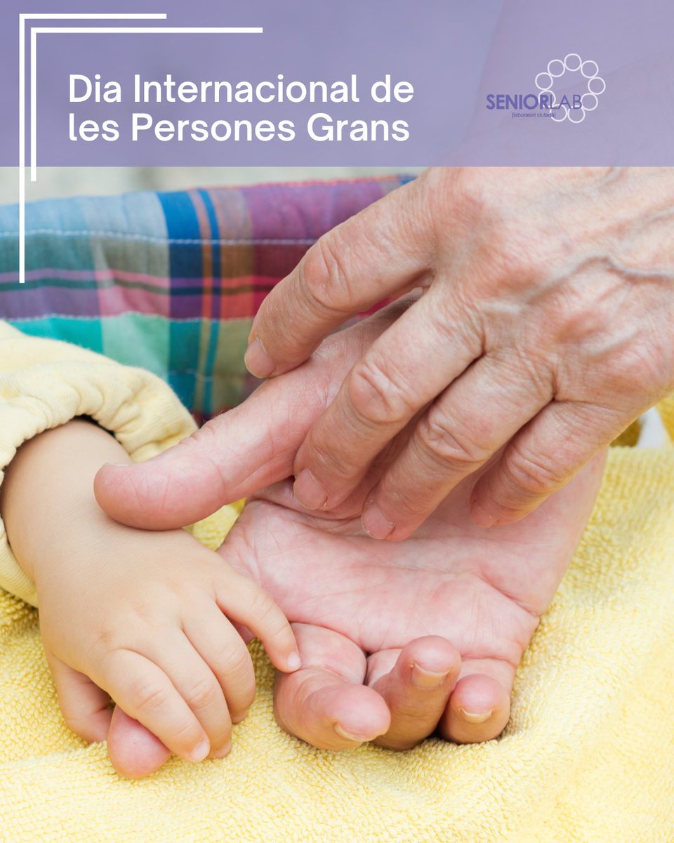 SeniorLAB tweet media