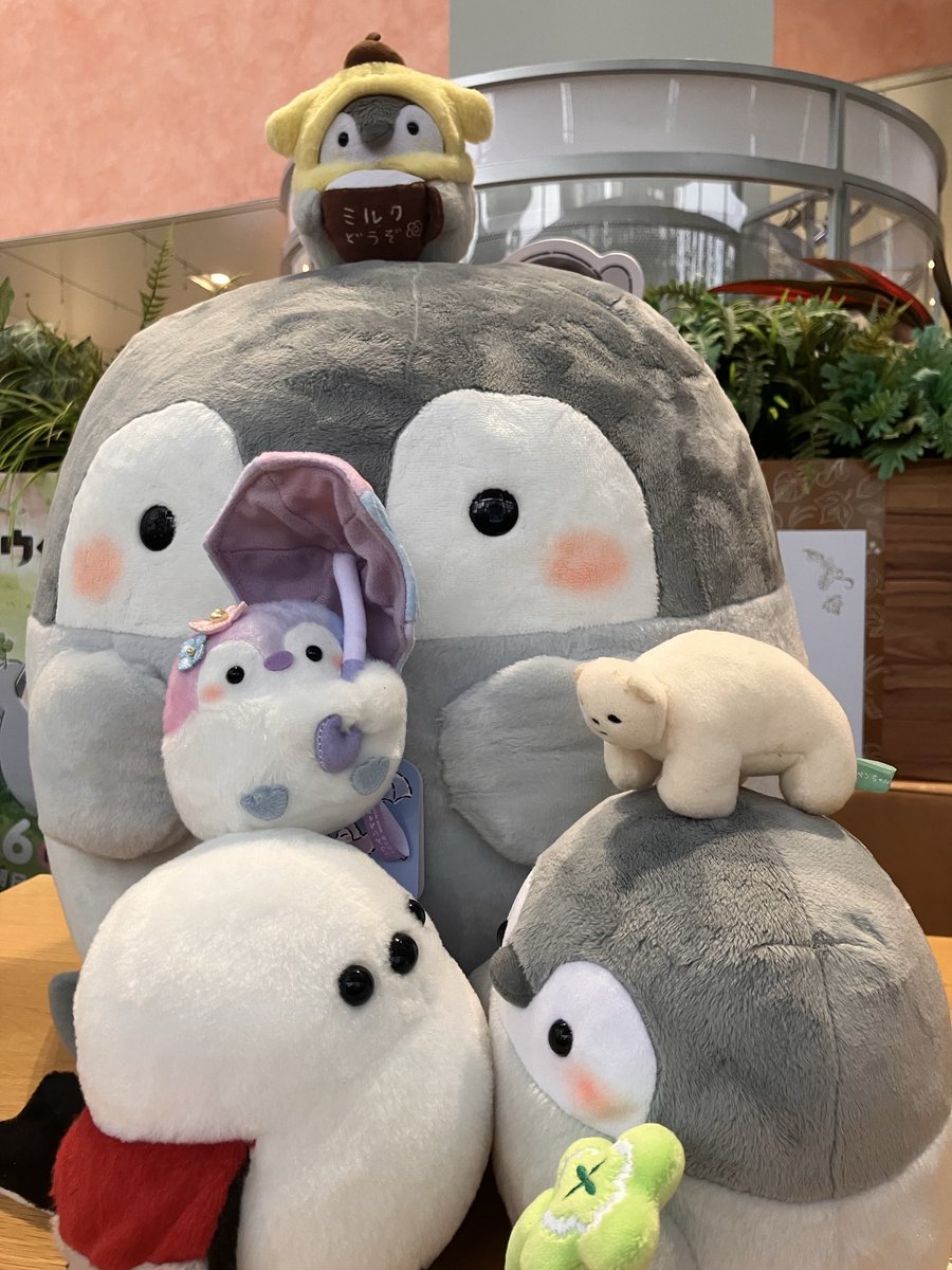引率のシロクマ先生と
アジトを取られて焦る邪エナガさん

#コウペンちゃん
#テレビ朝日
#コラボカフェ
#六本木
#るるてあ
#コウペンちゃんカフェ