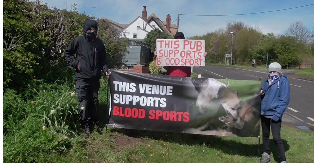 The end of the Atherstone Hunt.

How the Atherstone Hunt became history and how West Midlands Hunt Saboteurs made it happen.

huntsabs.org.uk/end-of-the-ath…