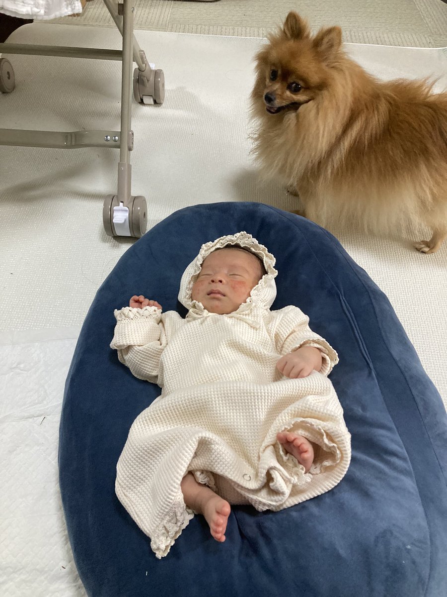今日　娘と孫っち1号、2号は
自宅に帰ります。
その前に写真館でフォトを撮りにお出かけしています。
今頃は新生児👶の時に
ニューボーンフォトを
撮るんだよね。

生後5日から14日頃まで
この期間は赤ちゃんが深く眠っている時間が長く、