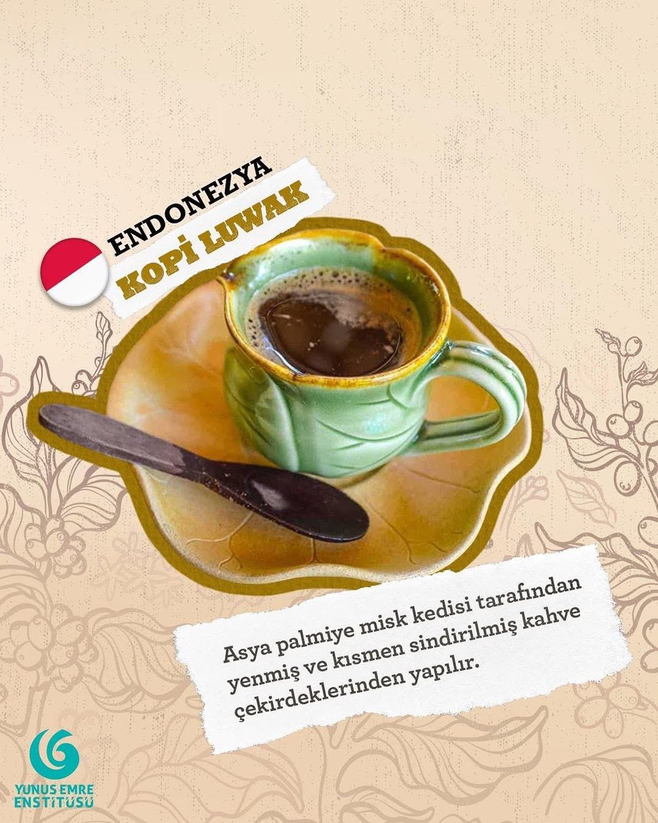 yeeromanya's tweet image. 🇹🇷 Kahvenin dili evrensel, tadı benzer, sohbeti sınırsız! ☕️

Bugün Dünya Kahve Günü! Gelin, kahvenin insanları bir araya getiren sıcaklığını birlikte kutlayalım. 🌍

Sizin en sevdiğiniz kahve hangisi?👇

@yeeorgtr 
#YunusEmreEnstitüsü #DünyaKahveGünü #CoffeeDay