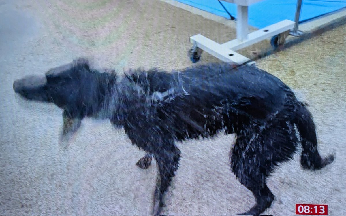 Caron Blay tweet media