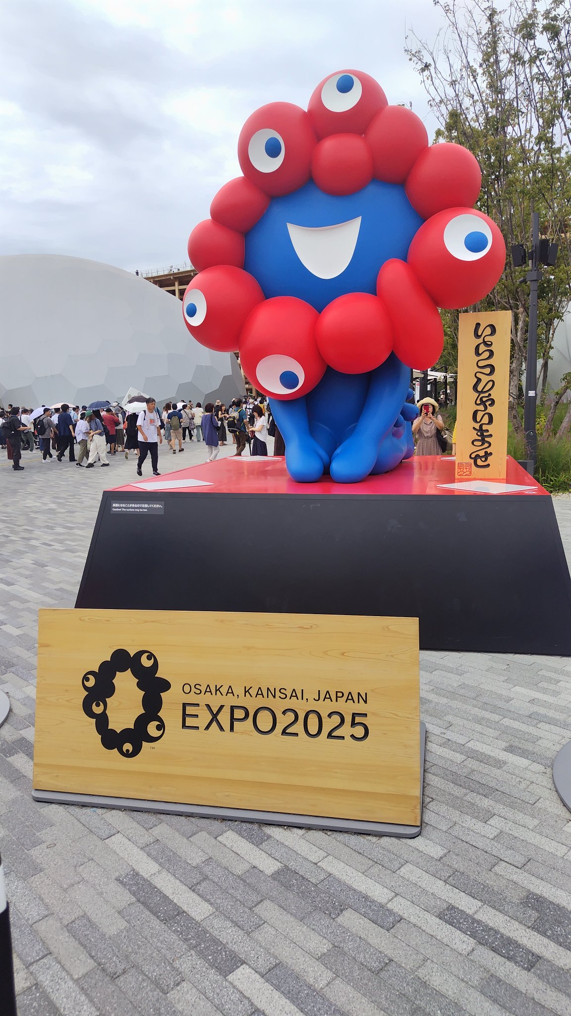 うっちー🔶 (@ucchy0120) / X