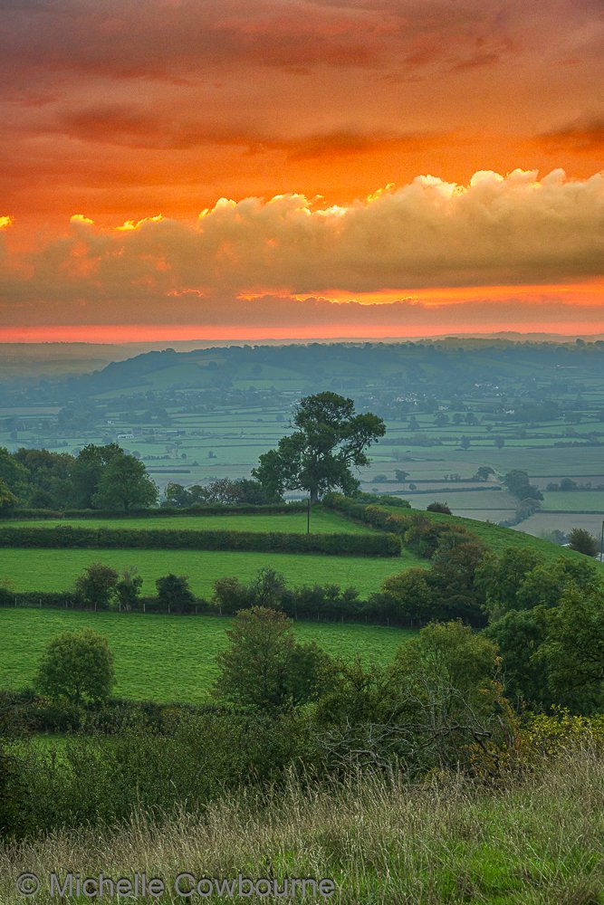 A flash of colour this morning at sunrise. Photograph taken looking down from Glastonbury Tor.